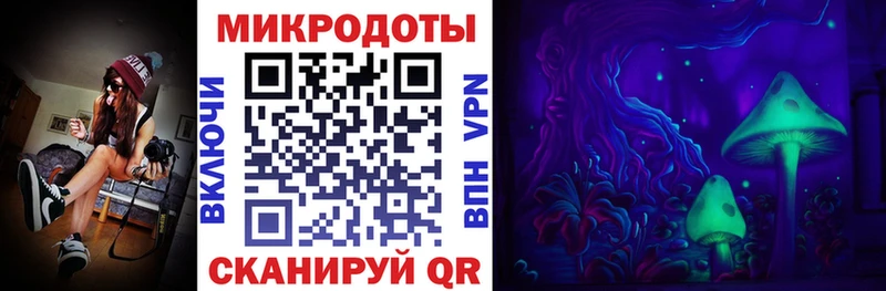 цена наркотик  гидра сайт  Галлюциногенные грибы Magic Shrooms  Ардон 