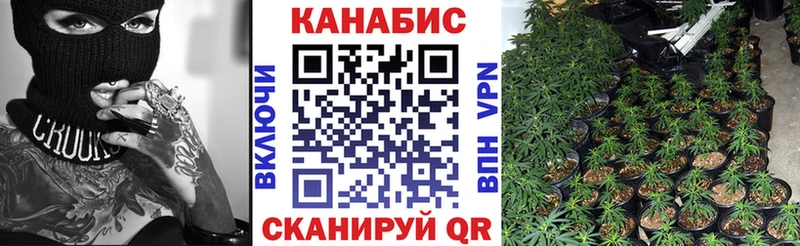 Марихуана SATIVA & INDICA  как найти   omg онион  Ардон 